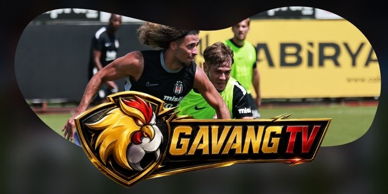 Dự Đoán Trận Besiktas JK Vs Hradec Kralove 00h00 14/08