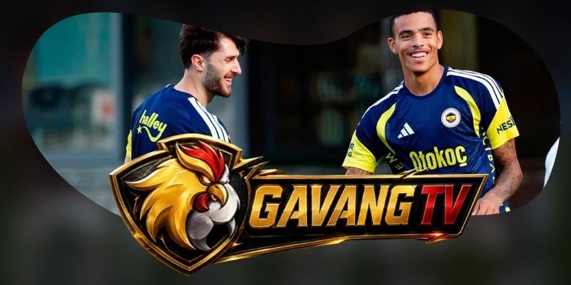 Dự Đoán Trận Fenerbahce Vs Lyon 02h00 19/08