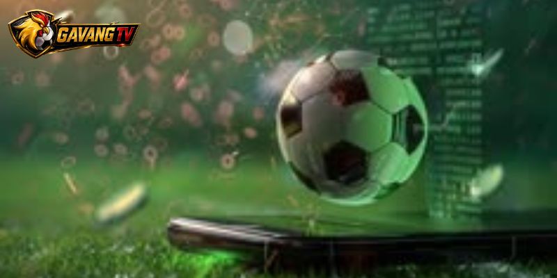 Kèo Thẻ Libertadores tách Team cards khỏi Chấp thẻ