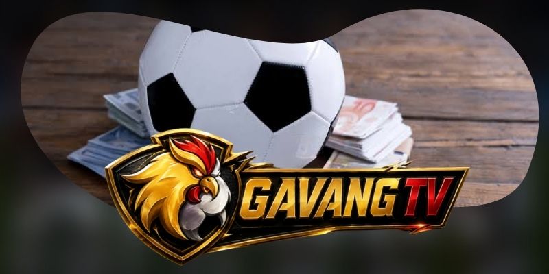 Lịch thi đấu sắp xếp trận theo ngày và giờ bóng lăn