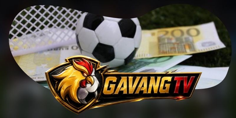 Liên hệ Gà Vàng TV theo đúng nhóm vấn đề cần hỗ trợ