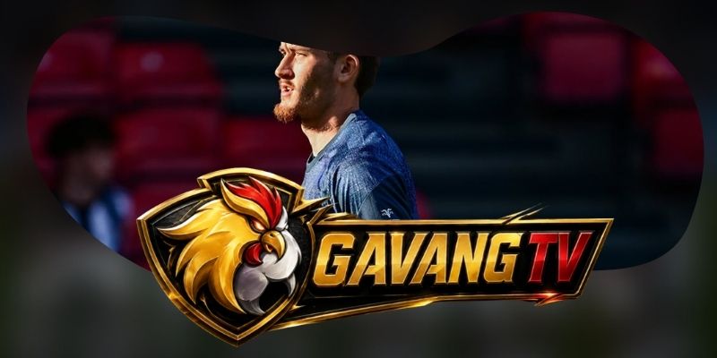 Phân tích phong độ Newcastle United vs Liverpool qua sức bật sân nhà và độ bền pressing