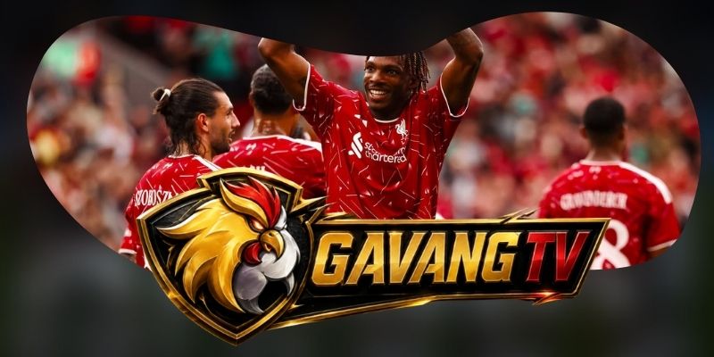 Tổng hợp dự đoán kèo Newcastle United vs Liverpool ngày 23/08 theo lợi thế sân nhà