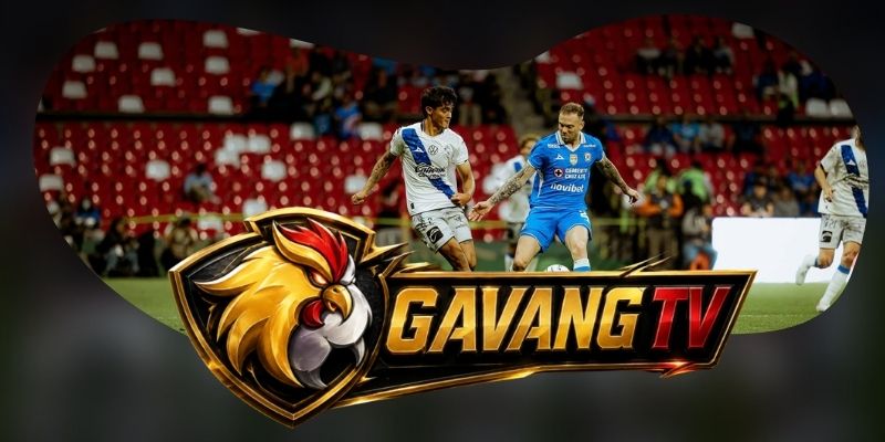 Tổng hợp dự đoán kèo Pachuca vs Puebla ngày 18/08 theo thế trận mở