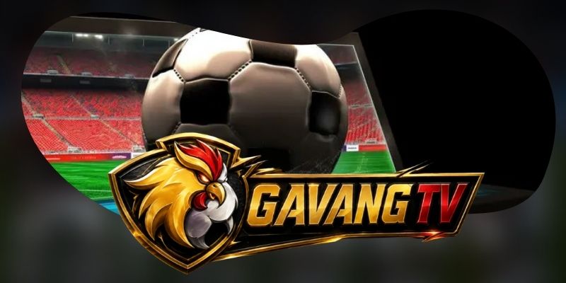 Tải App Gà Vàng TV từ nguồn cài đặt chính thức an toàn
