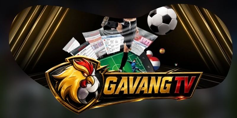 Về chúng tôi - Hành trình Gà Vàng TV phát triển bền vững