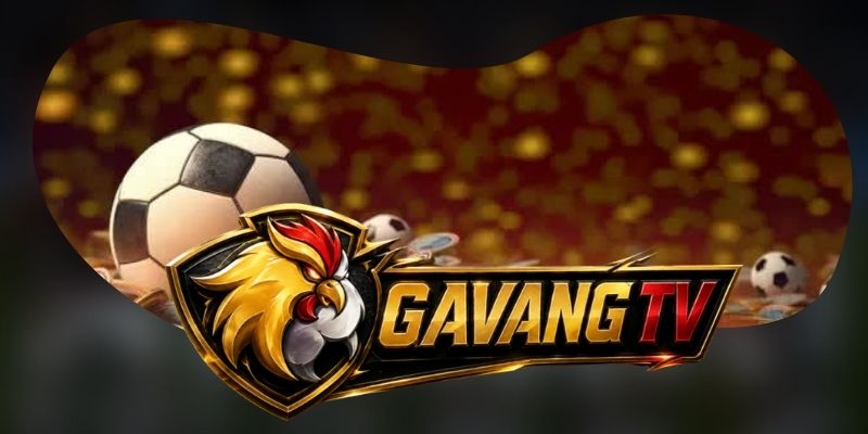 Định hướng phát triển gắn với trải nghiệm của thành viên