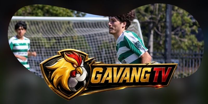 Tổng hợp dự đoán kèo trận Viseu vs Santa Clara ngày 16/08 theo điểm rơi bóng chết