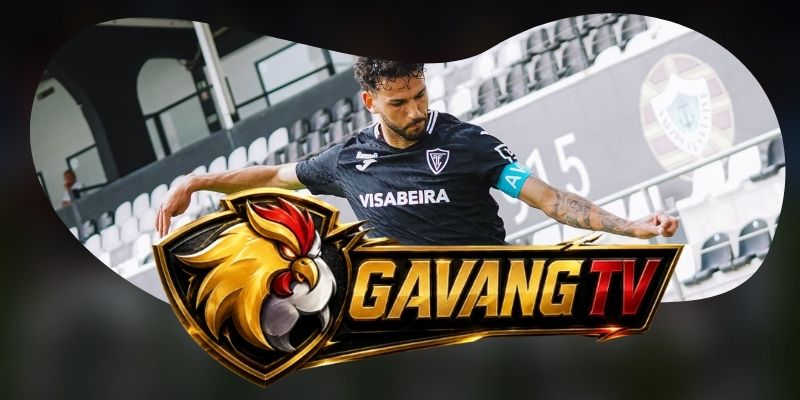 Dự Đoán Trận Viseu Vs Santa Clara 00h00 16/08